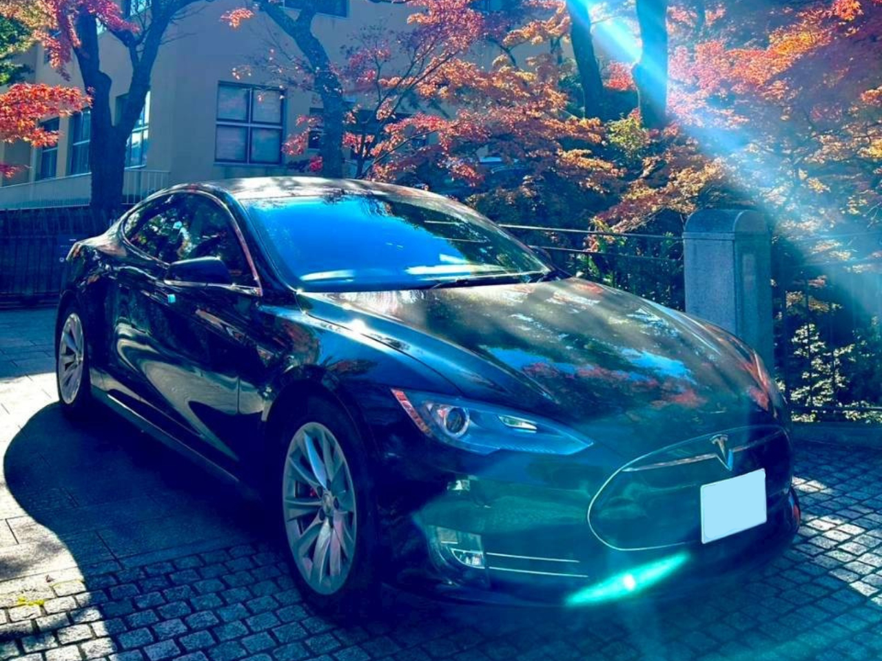 TESLA MODEL S 85（リア駆動）黒