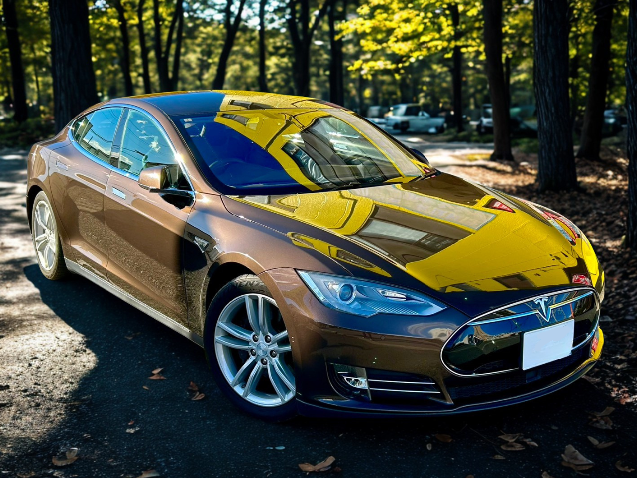 TESLA MODEL S 85（リア駆動）黒